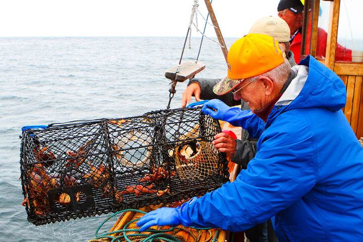 Crab and Mackerel Safari with Everts Sjöbod in Grebbestad