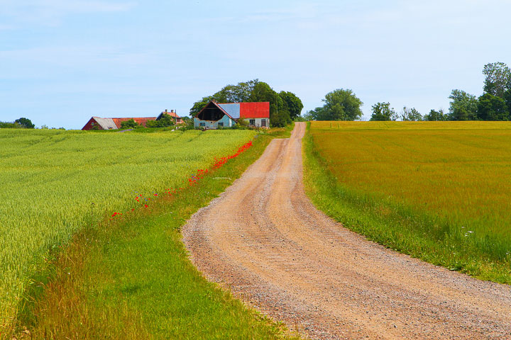 Biking Adventure in Osterlen | Discovering Sweden's Beautiful Countryside