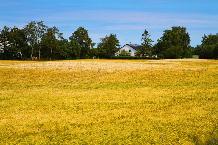 Biking Adventure in Osterlen | Discovering Sweden's Beautiful Countryside