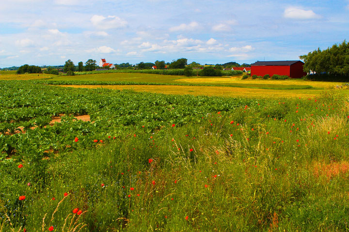 Biking Adventure in Osterlen | Discovering Sweden's Beautiful Countryside