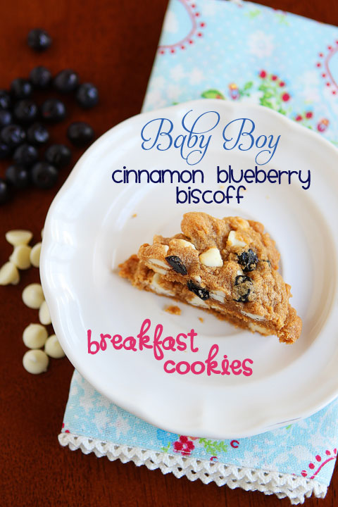 Cinnamon Blueberry Biscoff Breakfast Cookies