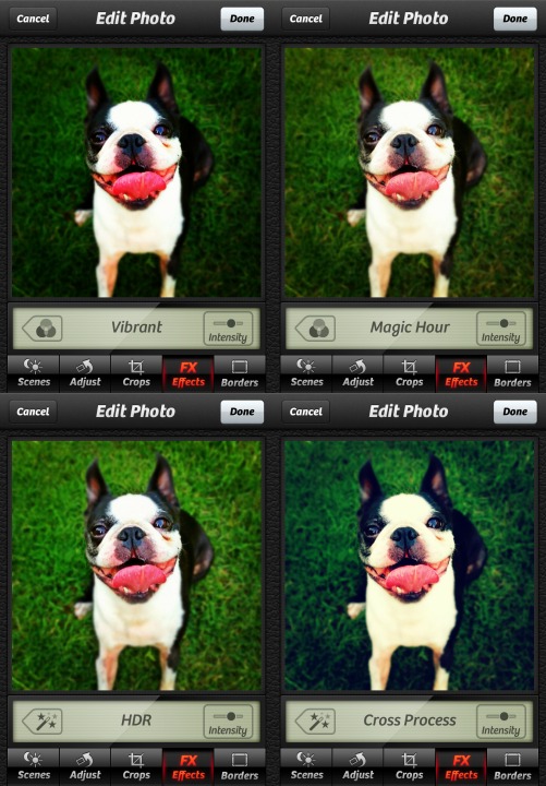 Best Camera Apps for iPhone and Android