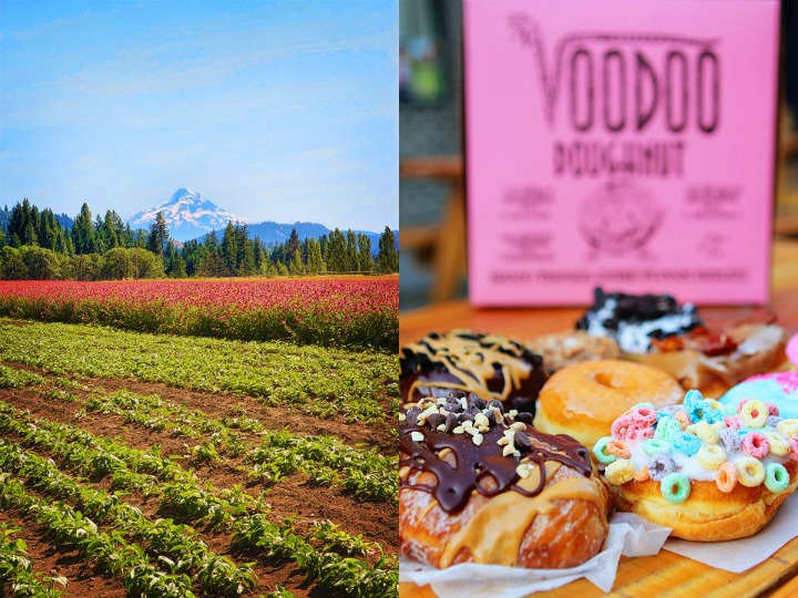 Trails to Feast Culinary Road Trip through Oregon