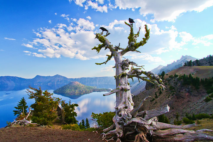 { PHOTOS } Crater Lake, Oregon: Home of the remarkably blue, crystal clear waters of the nation's deepest lake. www.kevinandamanda.com #travel