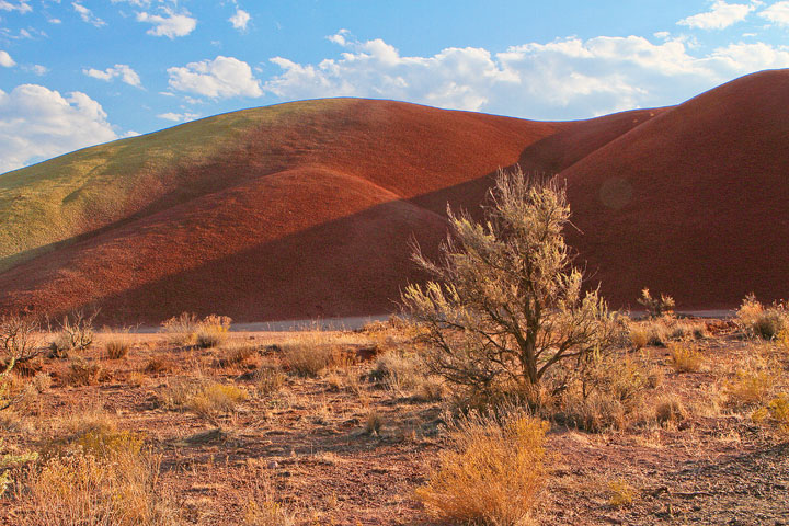 The Painted Hills, Oregon