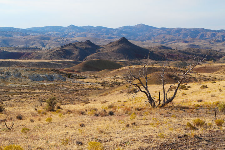 The Painted Hills, Oregon