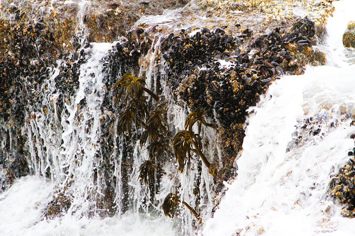 { PHOTOS } Spouting Horn and Thor's Well at Cape Perpetua in Yachats, Oregon www.kevinandamanda.com #travel #landscapes #ocean