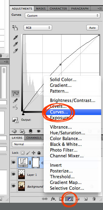 How to Brighten a Dark Subject on a Light Background Photoshop Tutorial from kevinandamanda.com