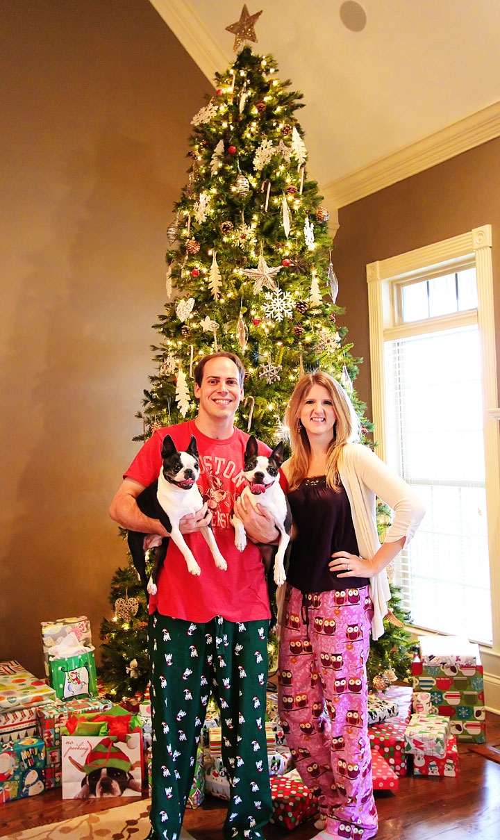 Miley and Howie Boston Terrier Christmas