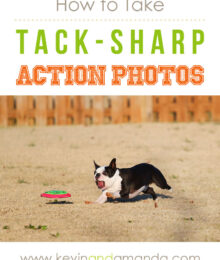 Sharp Action Shot Example