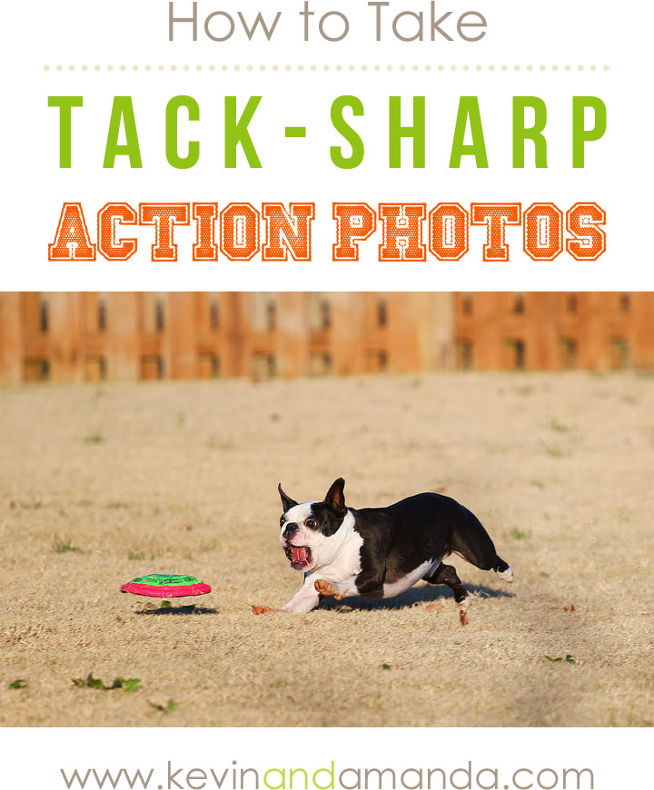 Collection 99+ Images how to get tack sharp photos Stunning