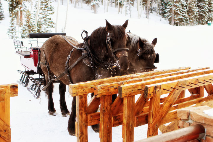 World Class Dining at Deer Valley Utah