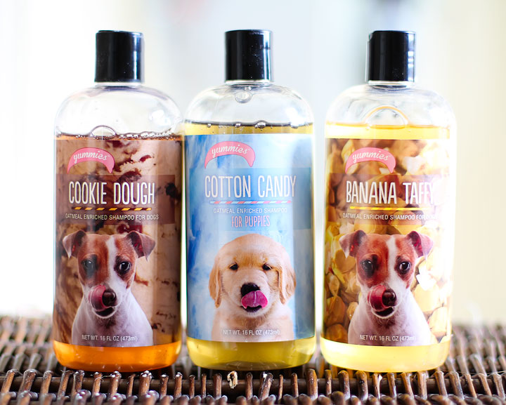 Cookie Dough & Cotton Candy Puppy Shampoo!