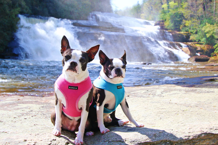 Triple Falls in Dupont State Forest, near Asheville, NC