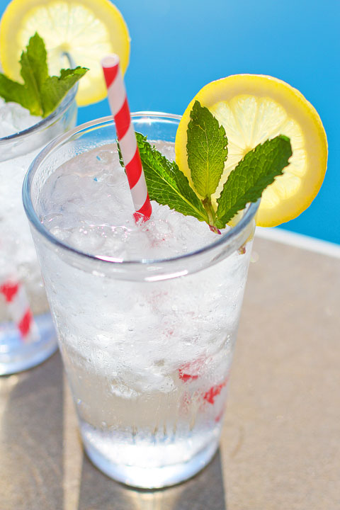 A Nugget Ice Maker For Home ~ My Very Own Sonic Ice Maker!