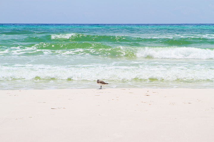 Seaside Florida