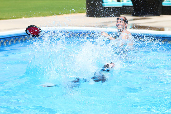 Boston Terrier Catching Frisbee off the Diving Board -- Photo 4