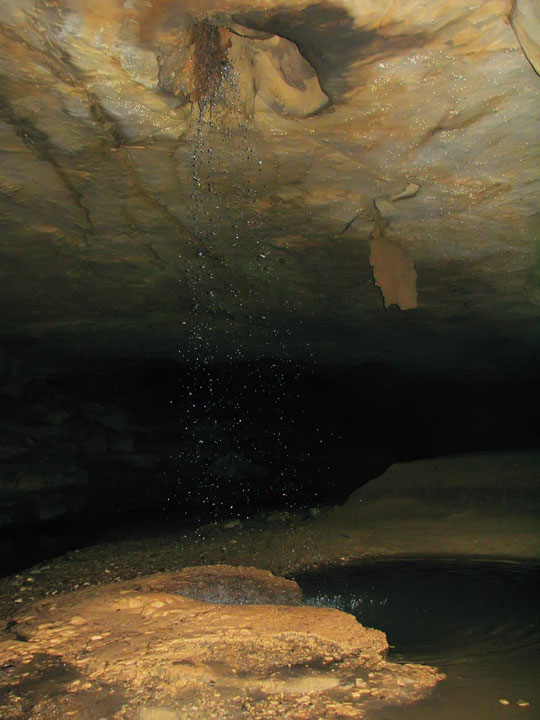 Exploring the Tunnels at Limrock Blowing Cave! 07