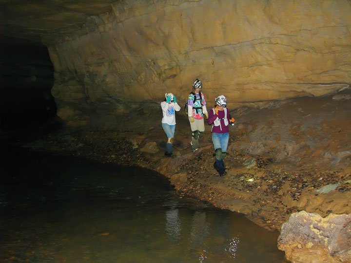 Exploring the Tunnels at Limrock Blowing Cave! 13