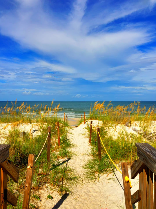 cape-san-blas-florida-pet-friendly-beach-vacation-2013-4