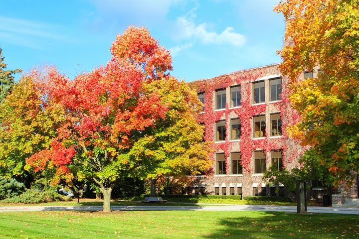 Thing To Do In Kohler, Wisconsin