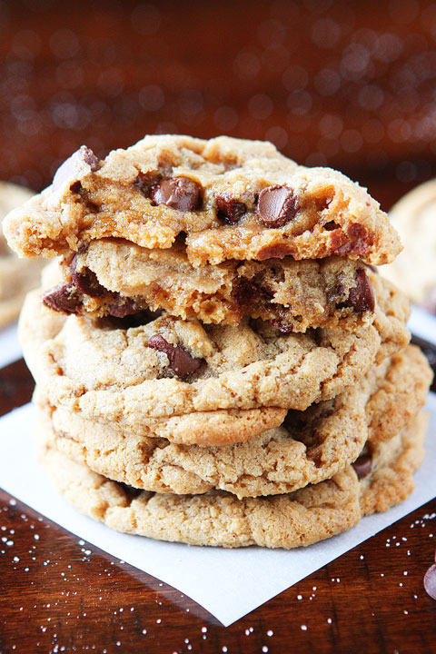 Hazelnut Butter Cookies. Soft, chewy cookies made with creamy hazelnut butter!! It's like a Nutella chocolate chip cookie!!