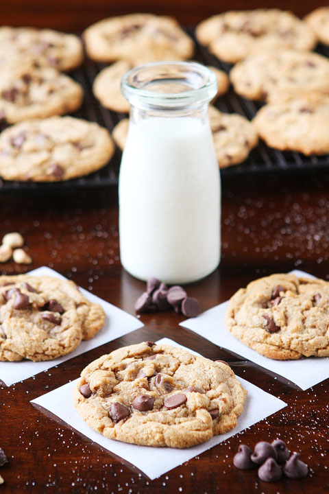 Hazelnut Butter Cookies. Soft, chewy cookies made with creamy hazelnut butter!! It's like a Nutella chocolate chip cookie!!