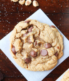 Image of a Hazelnut Butter Cookie