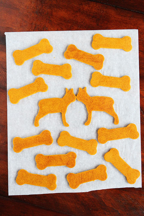 Easy 3-Ingredient Homemade Peanut Butter Pumpkin Dog Treats! Flour, peanut butter and pumpkin. Just mix, cut out, and bake!