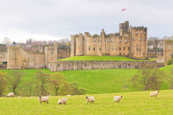 Visit Alnwick Castle, aka Hogwarts, featured in the Harry Potter movies on a castle drive down the coast of Scotland + More Tips for Traveling to Scotland from www.kevinandamanda.com.