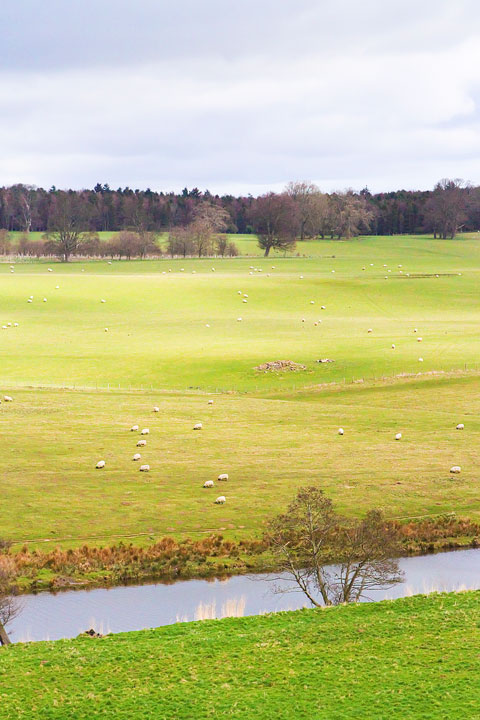 Visit Alnwick Castle, aka Hogwarts, featured in the Harry Potter movies on a castle drive down the coast of Scotland + More Tips for Traveling to Scotland from www.kevinandamanda.com.