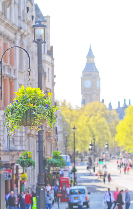 Trafalgar Square, London. Tips for Planning a London Vacation. www.kevinandamanda.com. #travel #london #england