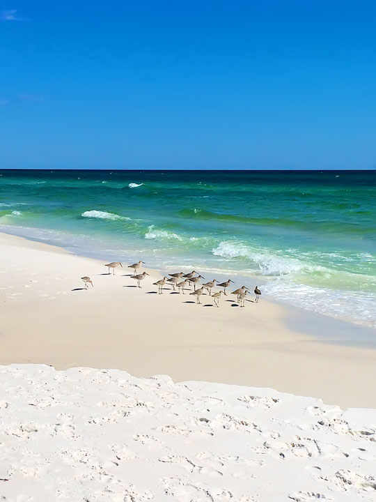 Seaside, Florida Beaches