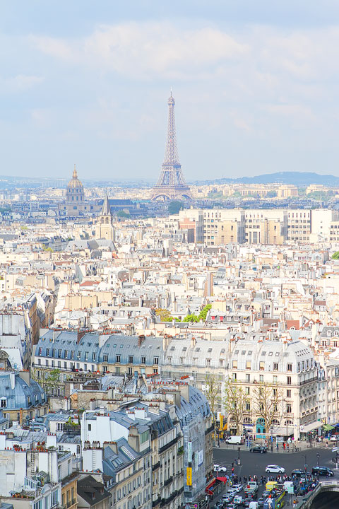 View from Notre Dame Tower — BEST Things To Do In Paris