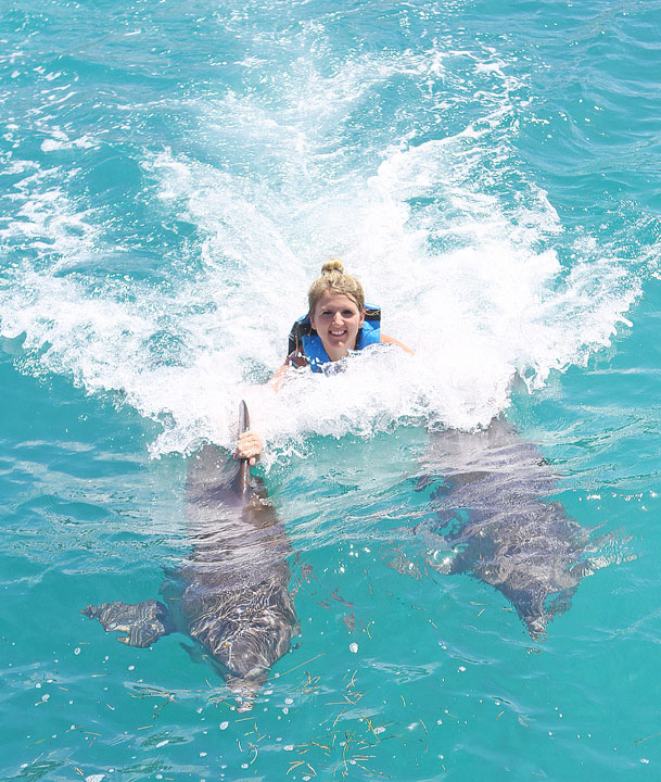 Albums 101+ Images swimming with the dolphins in cancun mexico Stunning