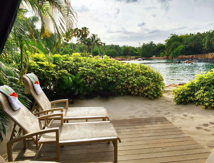 Swimming with the Dolphins at Discovery Cove in Orlando, Florida. #travel #florida #orlando