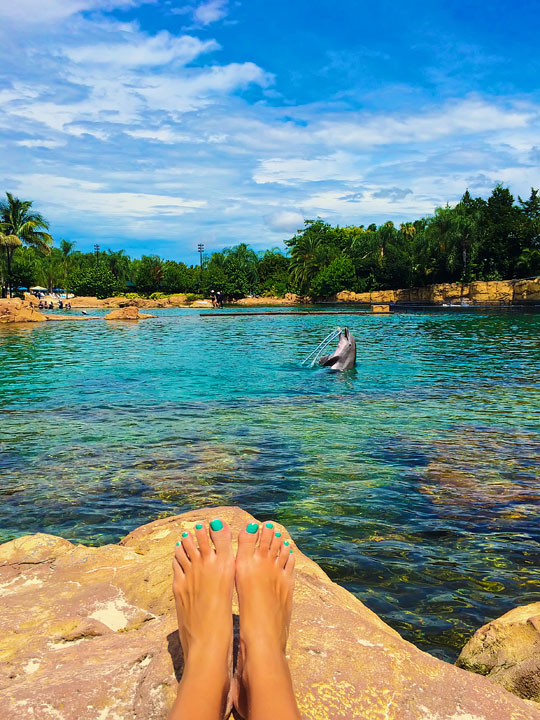 Swimming with the Dolphins at Discovery Cove in Orlando, Florida. #travel #florida #orlando