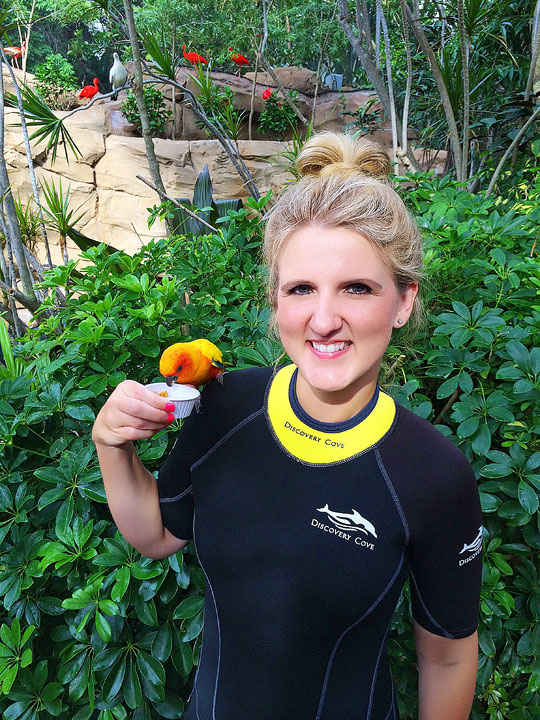 Swimming with the Dolphins at Discovery Cove in Orlando, Florida. #travel #florida #orlando