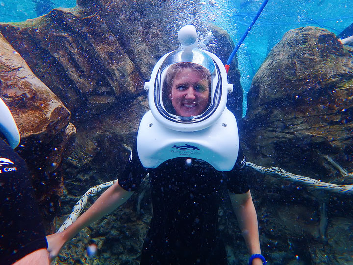 Swimming with the Dolphins at Discovery Cove in Orlando, Florida. #travel #florida #orlando