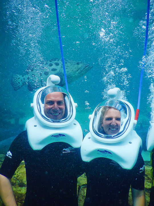 Swimming with the Dolphins at Discovery Cove in Orlando, Florida. #travel #florida #orlando