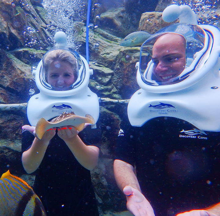 Swimming with the Dolphins at Discovery Cove in Orlando, Florida. #travel #florida #orlando