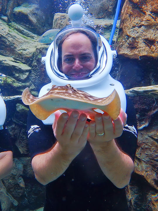 Swimming with the Dolphins at Discovery Cove in Orlando, Florida. #travel #florida #orlando