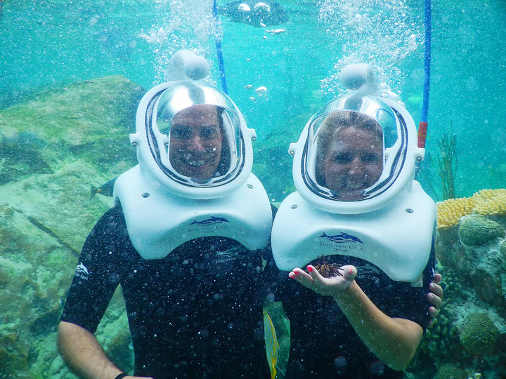 Swimming with the Dolphins at Discovery Cove in Orlando, Florida. #travel #florida #orlando