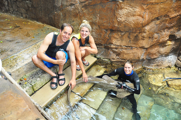 Swimming with the Dolphins at Discovery Cove in Orlando, Florida. #travel #florida #orlando