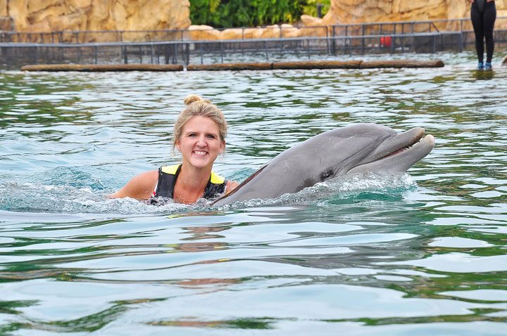 Swimming With Dolphins 