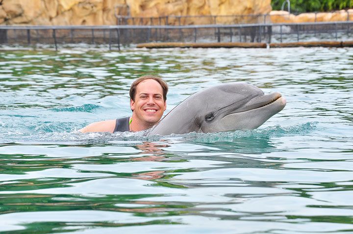 Swimming With Dolphins Florida 