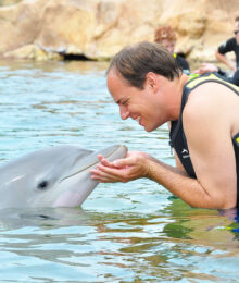 Swim With Dolphins In Florida