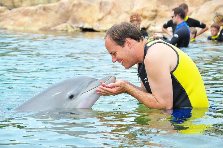 Swim With Dolphins In Florida