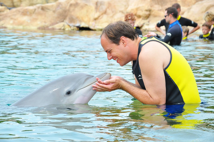 Swimming with the Dolphins at Discovery Cove in Orlando, Florida