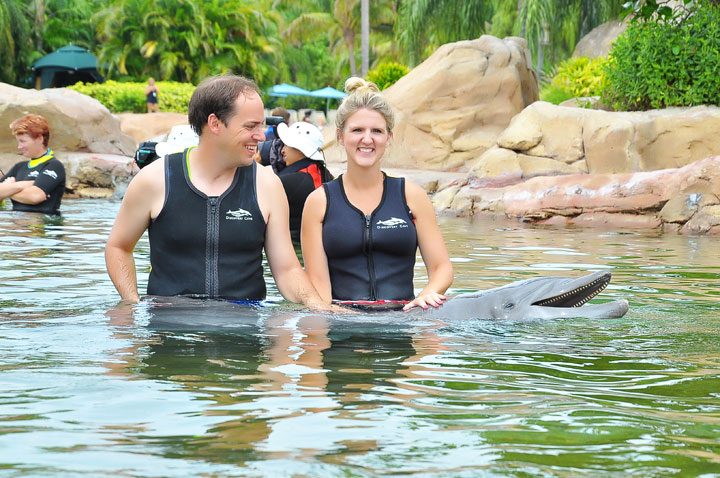 Florida Swimming With Dolphins 